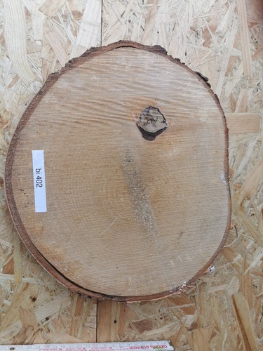 Baumscheibe birke 50cm - baumscheibe,