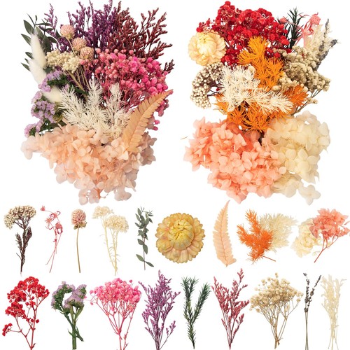 Trockenblumen basteln deko - trockenblumen, diy