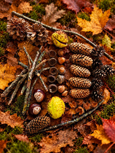 Bastelset naturmaterialien - bastelset,