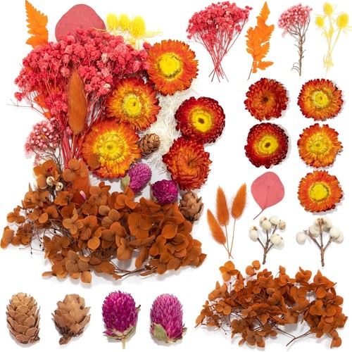 Getrocknete blumen set - getrocknete,