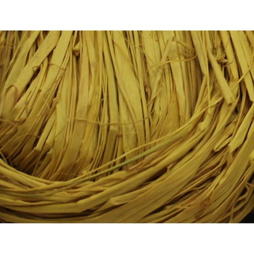 Raffia bast g - eur/kg), raffia-bast