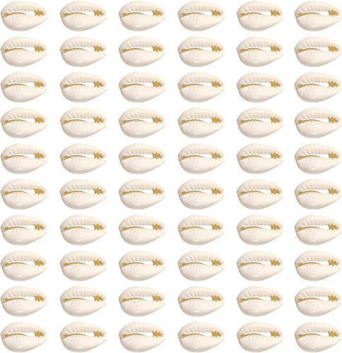Beige kauri muscheln 200 - kauri,