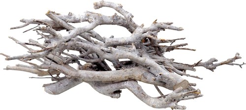Natur äste zweig weiß - Äste,
