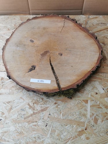 Baumscheibe birke 50cm mit - baumscheibe, 20-50cm