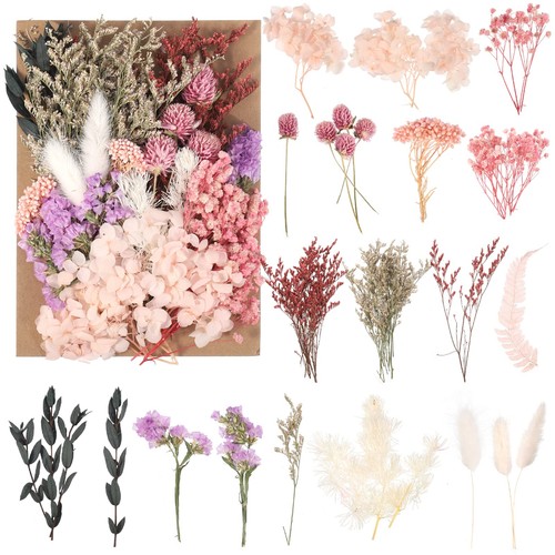 Trockenblumen basteln set - trockenblumen,